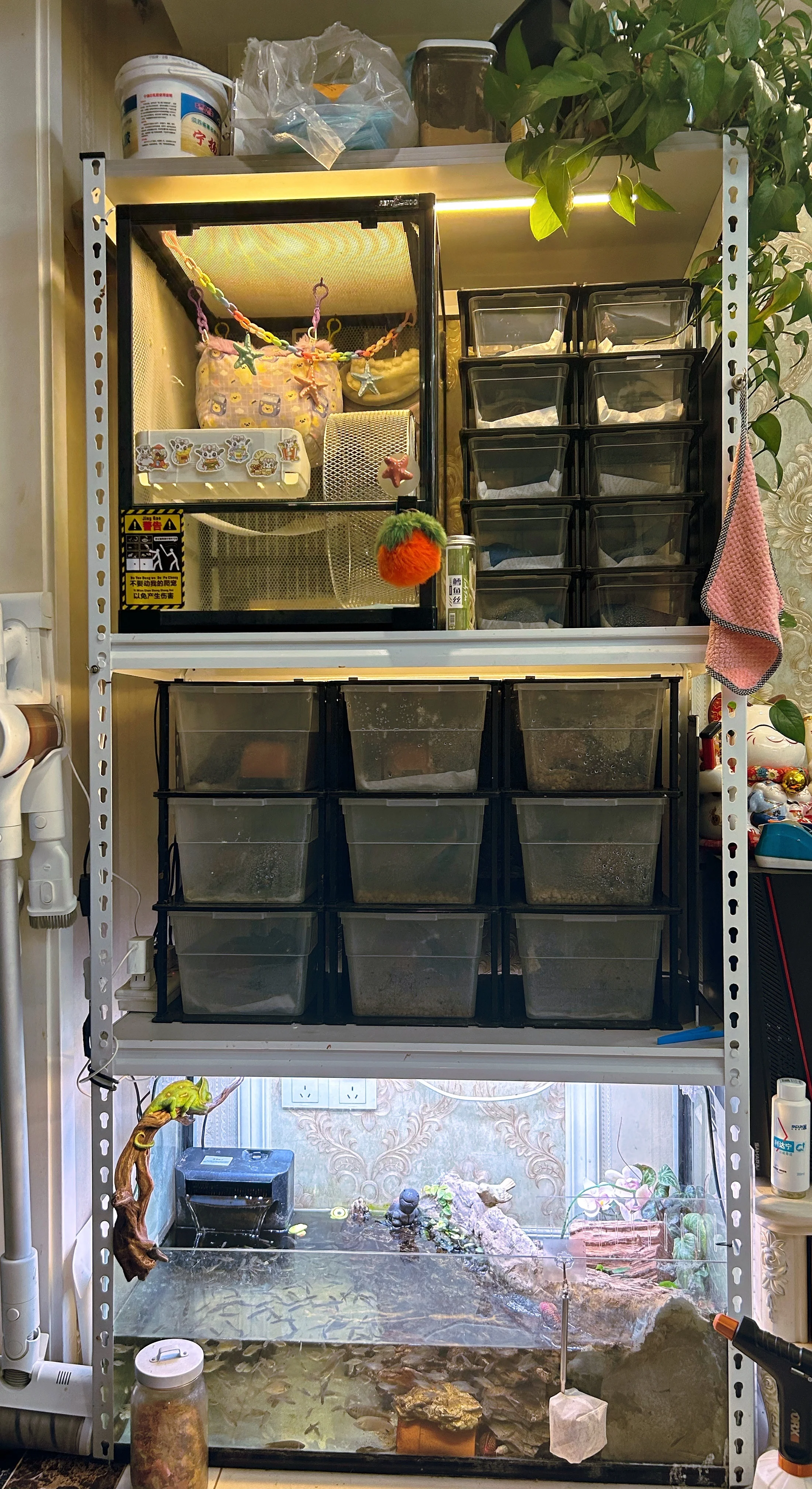 Reptile Snake Rack for Snake Cages & Breeding - ODM | Wholesale
