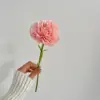 สีชมพู