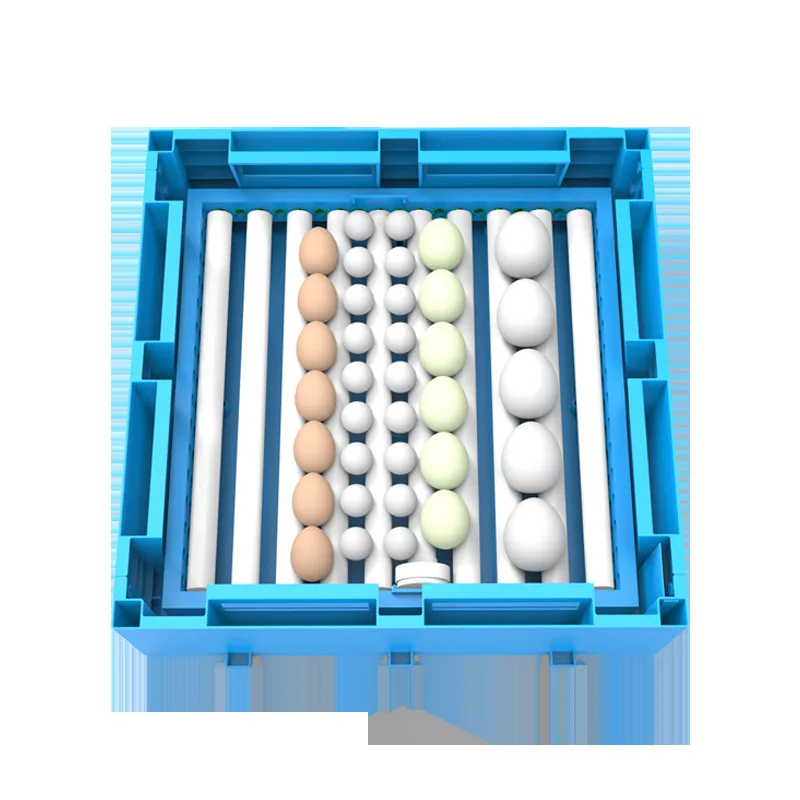 Fully Automatic Egg Hatching Machine Incubator 220V 12V  Chicken Duck Goose Bird Egg Incubator
