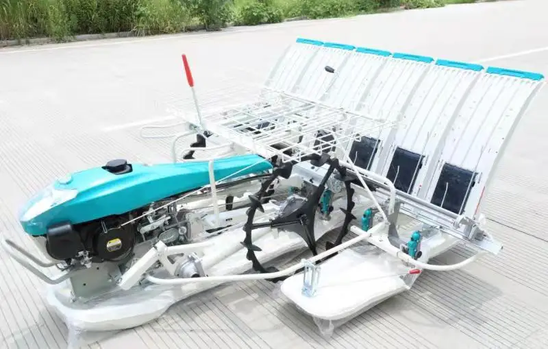 6 Rows Handpush Rice Planter Walk Behind Rice Planting Machine Walking Paddy Transplanter