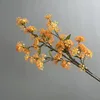 Arancione