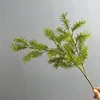 Nuova erba acquatica a stelo singolo, verde scuro.