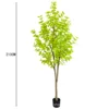 210cm green ginkgo tree