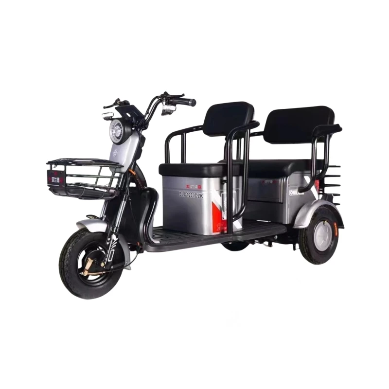 Electric Passenger Tricycle Cargo Trike With Two Seats New Motorcycle ...