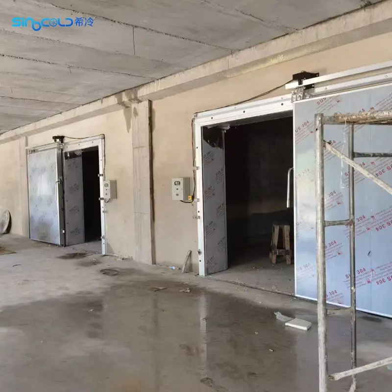 Walk in Industrial Commercial Cold Room Blast Freezer Ice Cream Vertical Upright Deep Freezer Cold Room