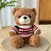 Maglione con bandiera e orsetto di peluche marrone