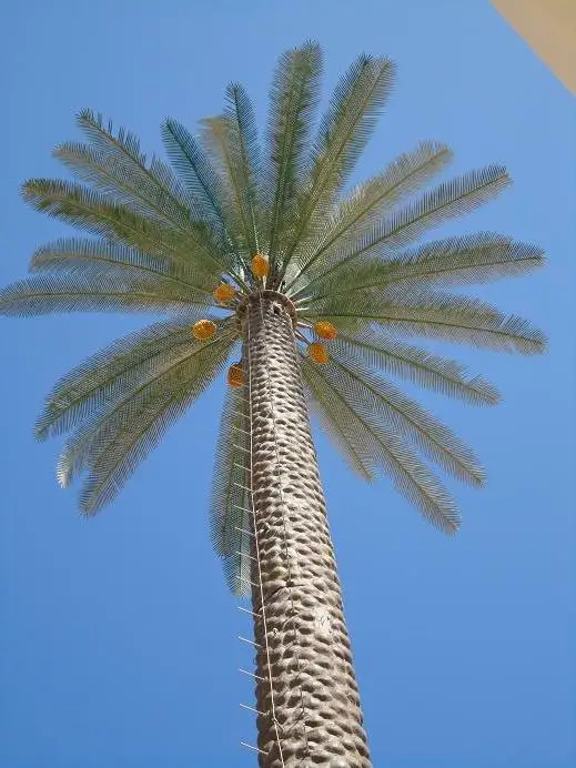 30m Date Palm Tree Monopole for Etisalat UAE