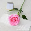 Large pink velvet