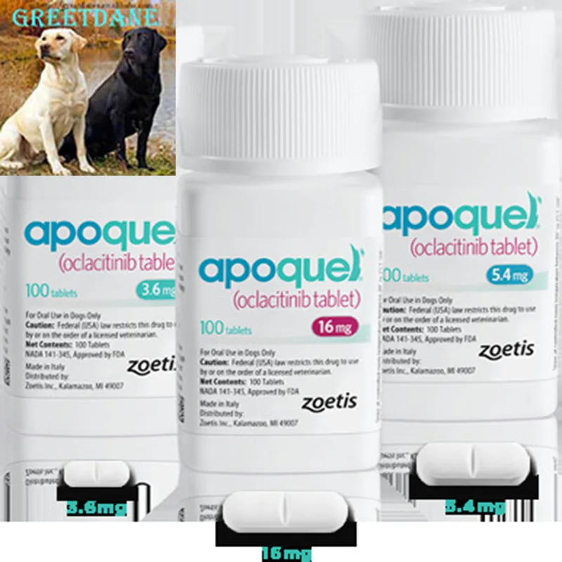 Apoquel For Dogs 5 Pills Buy Apoquel Apoquel For Dogs Apoquel Pills Product On Alibaba Com