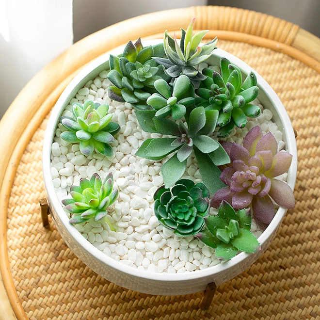 ホット10インチセラミックラウンド多肉植物プランターボウル