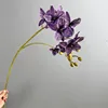 Pourpre