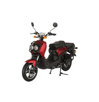 Electric Scooter for Delivery with EEC