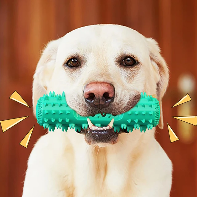 Engaging Features Bite Tooth Clean Puzzle Dog Toothbrush Chew Grinding Cleaning Food Dry Snack Duck Neck Plush Squeak Toys