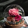 Dark Pink Carnation