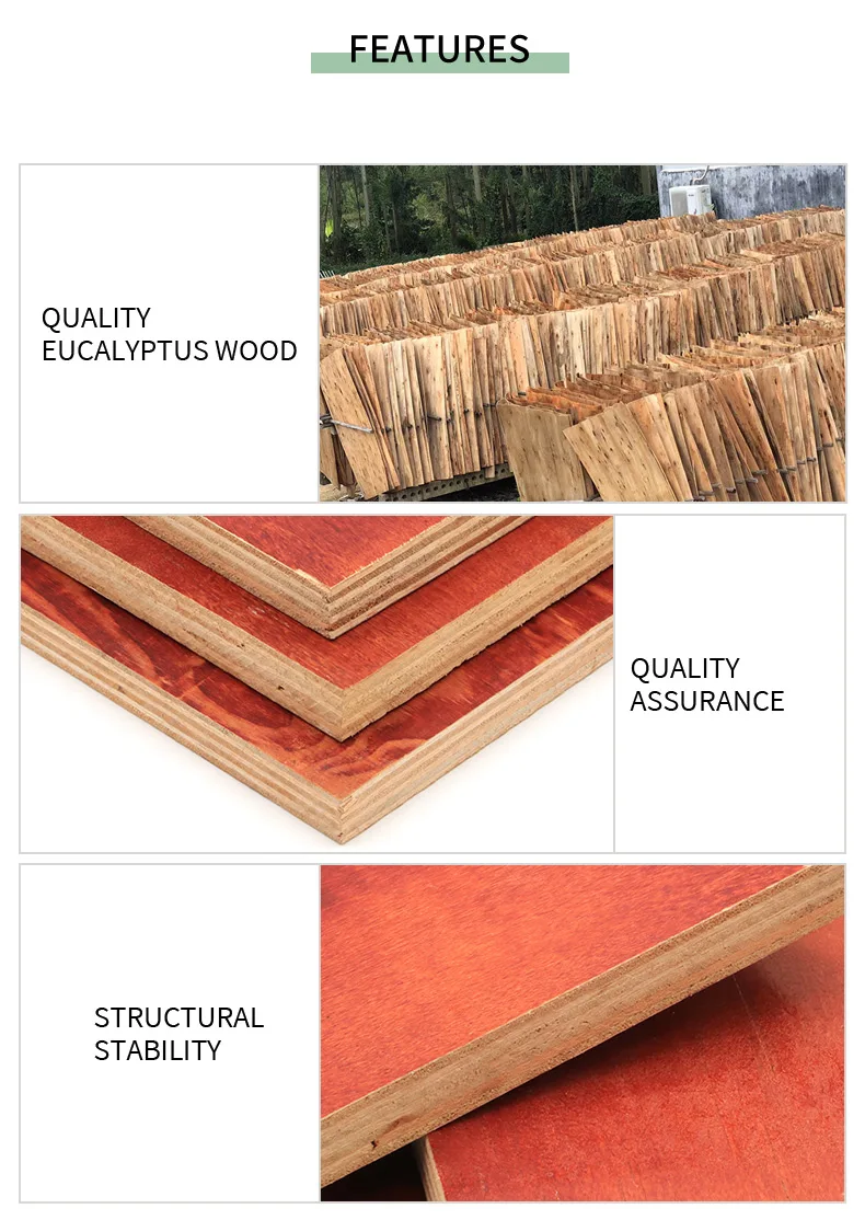 4*8ft High Quality Hardwood Formwork Plywood Film Faced Plywood 12mm