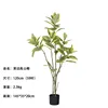 Ficus altissima à bords jaunes (59 feuilles) 120cm