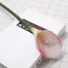 Rosa claro