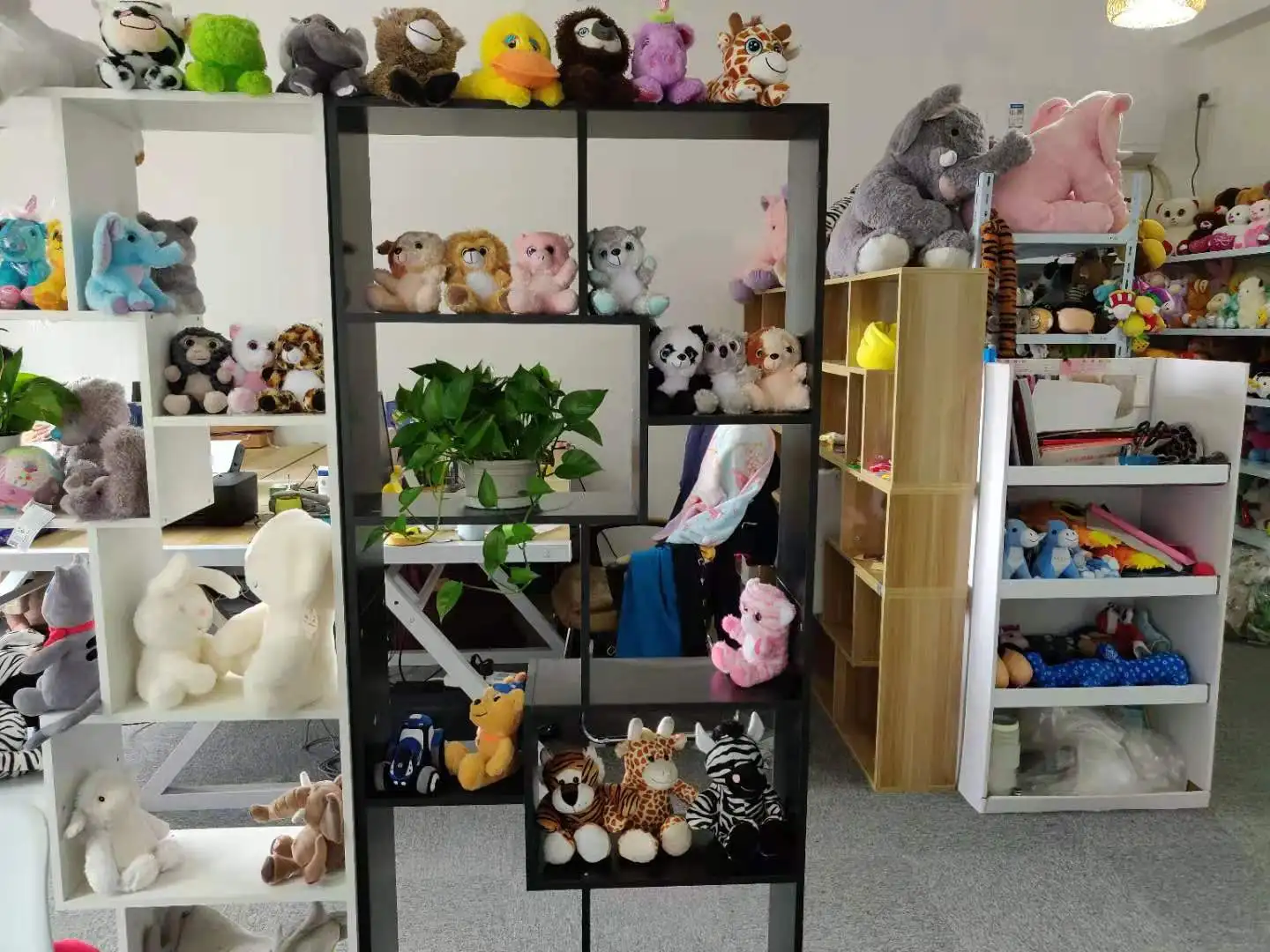 Shanghai Funnybuddy Co., Ltd. 2