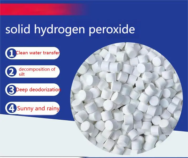 Anteruier Disinfection And Sterilization Of Black And Odorous Sludge In