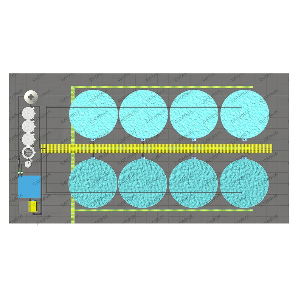 CATAQUA Ras Tilapia Fish Farming Equipment Recirculating Aquaculture System Price