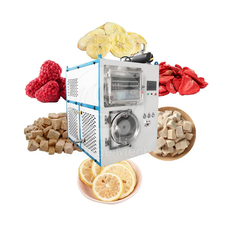 ORME Meat Freeze Drying Machine Laboratory Sublimation Vacuum Pump Dryer Small Food Freeze Dryer for Milk Powder