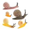 26862687268826892690 escargot 5-555g