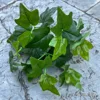 Bundles of sweet potato leaves