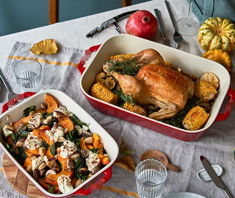 Cast Iron Enamel Baking Pan Big Capacity Versatility - Main Image