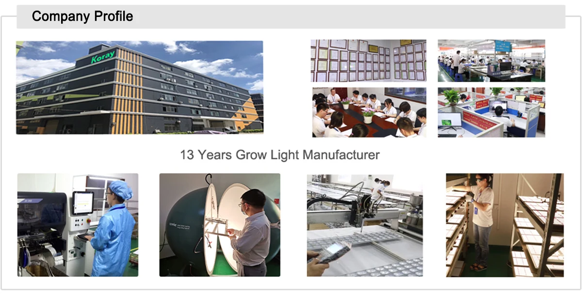 Zhongshan Koray OptoElectronic Co., Ltd. LED Grow Lights