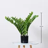 Money Tree Potted Plant - 55cm