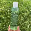 Menthe