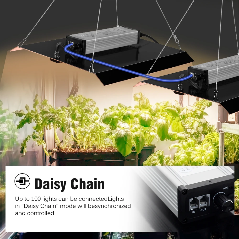 Lampada LED per la coltivazione a spettro completo ad alta potenza, dissipazione del calore efficiente, interruttore indipendente SMD3030, funzione dimmerabile da 200 W, AC100-240 V_voghion.com