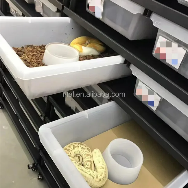 High Quality Pp Snake Breeding Cage Box Feeding Snake Tub Reptile Cages