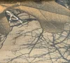 Camuflaje de hojas