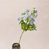 Une branche bleue