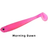Morning Dawn