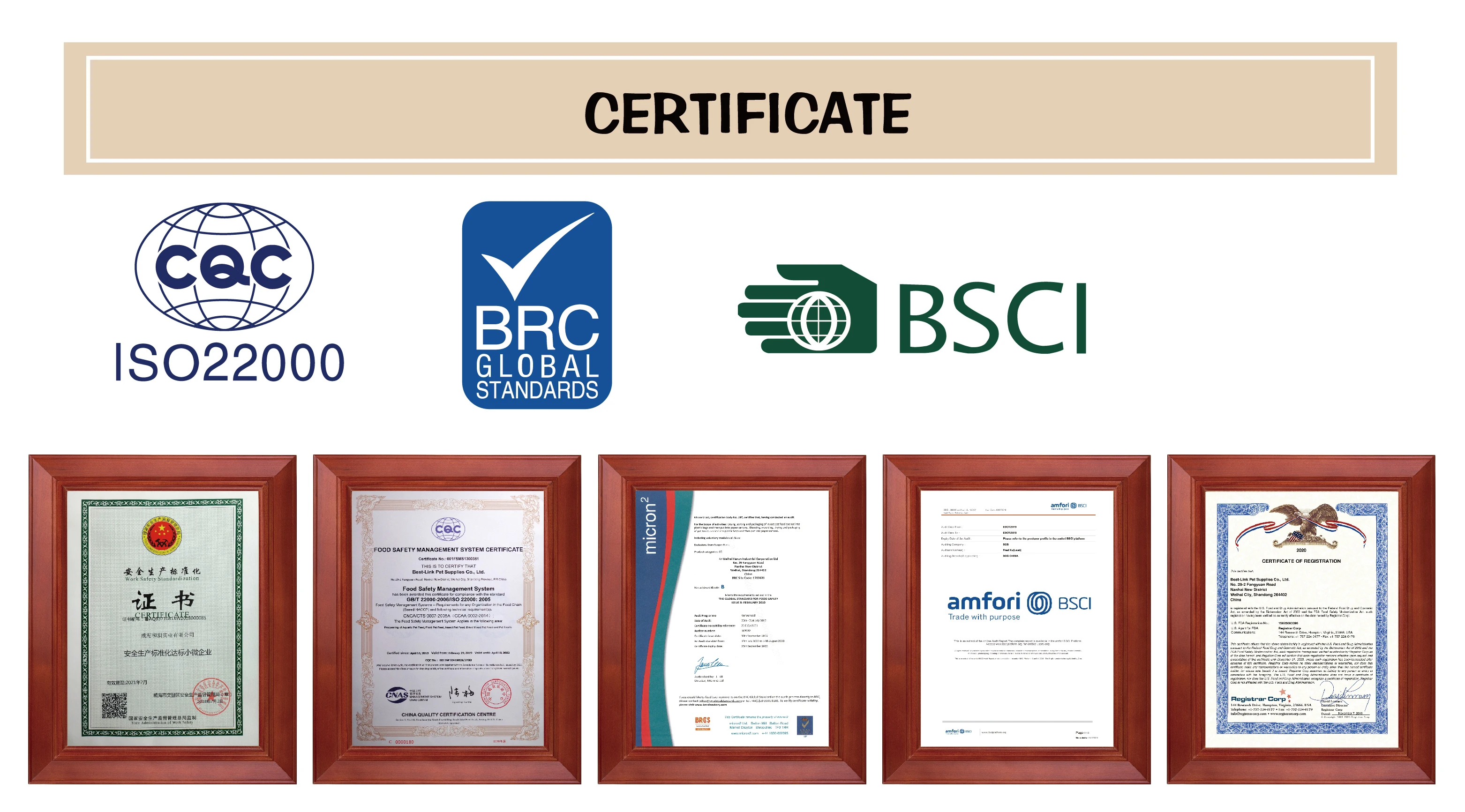 Parrot Food Fruit Bird Hand Feeding Buy Bird Hand Feeding Parrot Food