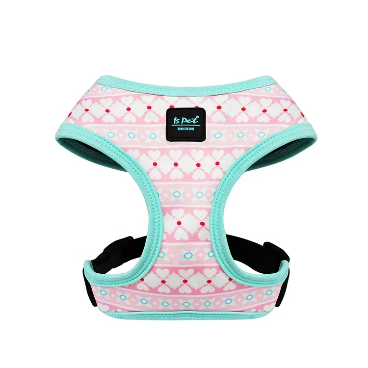 2024 Designer Nylon Pet Dogs Bravecto Supplies Luxury Eco Friendly Cat Dog Harness Set