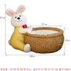 Hugging the pot rabbit