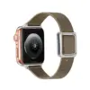 grayish brown band silver buckle