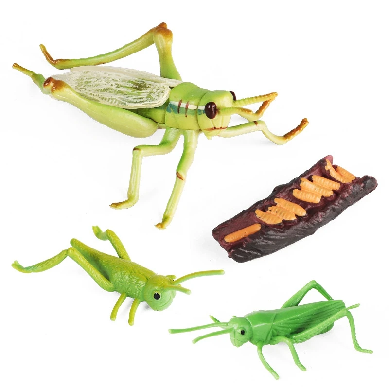 Toy Insect Plastic Small Pvc Insect Toy Plastic Insect Kids Toys Buy