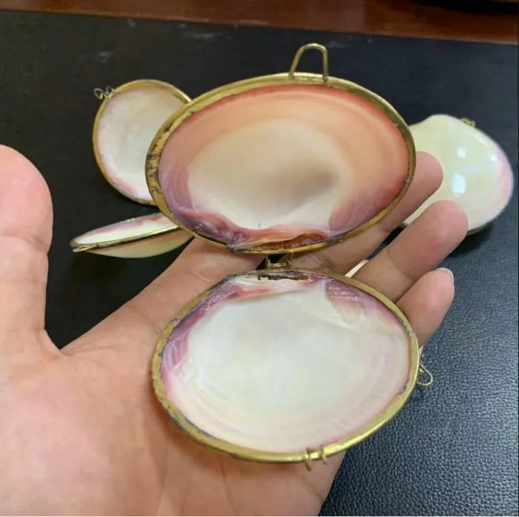 Wholesale Shell Jewelry Artistic Natural Treasures