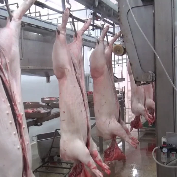Complete pig slaughtering production line project for industrial pork processing, cold storage and meat handling systems