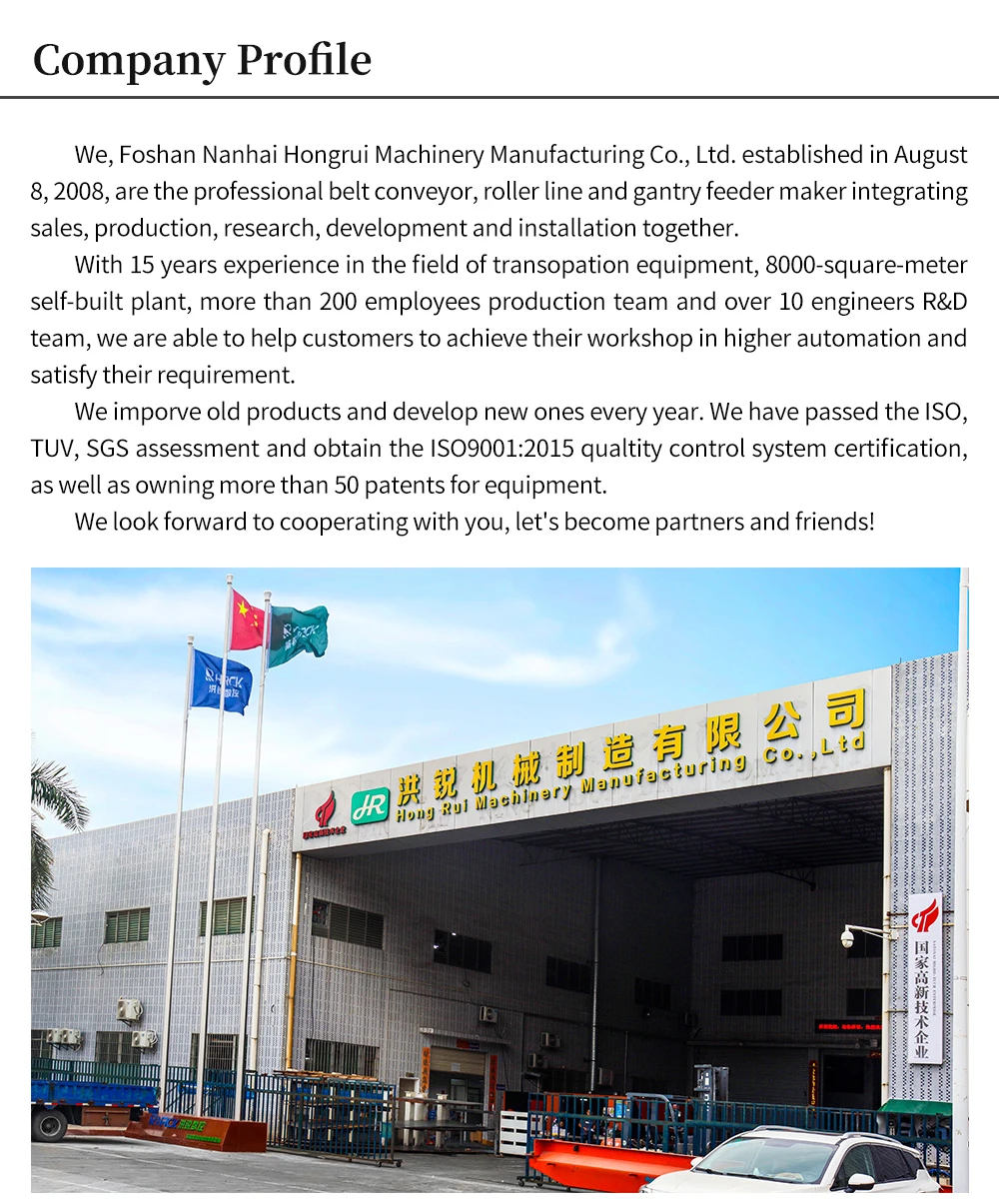 Hongrui Single Station Gantry Loader for OEM of Panel Furniture manufacture
