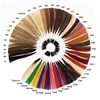 Color Ring