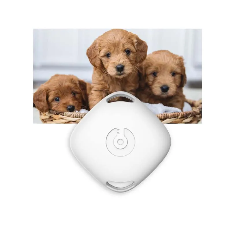 SigmaWit New Design Iot Reptile Temperature Sensor Blue Tooth Pet Thermometer Chicken Coop Thermometer