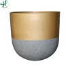 as image