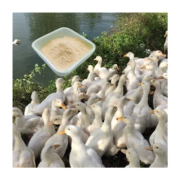 COMPLEX AMINO ACID CHELATE IS FEED ADDITIVE WITH a ZINC CONTENT GREATER THAN or EQUAL to 10% SUITABLE for DUCK