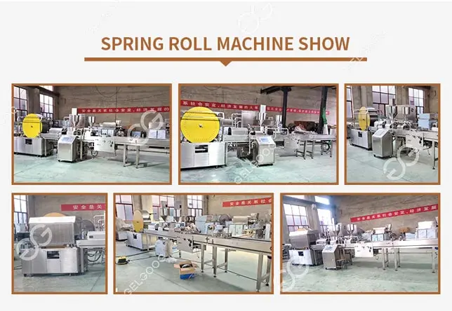 Automatique Commercial Potato Leaf Spring Roll Machine