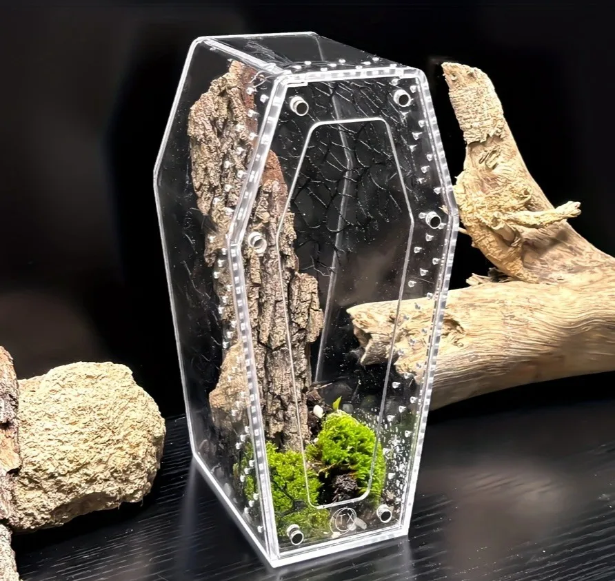 Acrylic Jumping Spider Habitat Versatile Reptile Enclosure Transparent Insect Terrarium Habitat for Spiders, Tarantula, Gecko